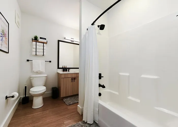 Apartment Lux King Bed Free Parking Gym Upmc Pitt Cmu Pittsburgh